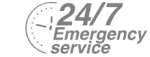 24/7 Emergency Service Pest Control in Wallington, SM6. Call Now! 020 8166 9746