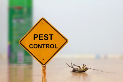 Pest Contol in Wallington, SM6. Call Now 020 8166 9746
